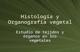 Histologia y Organografia Vegetal 1-1a