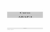 17211881 ABAP4 Manual Espanhol