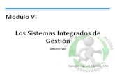 Sesion VIII Sistemas Integrados