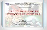 ESPECIES EN PELIGRO DE EXTINCIÓN EN VENEZUELA
