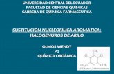 sustitución nucleofílica aromática halogenuros de arilo