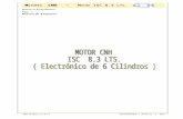 03-Motor Isc 8.3 Lts