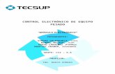 CONTROL ELECTRÓNICO DE EQUIPO PESADO
