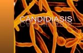 Candidiasis 120816202401 Phpapp01