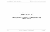 s4-Principios de Compresion Dinamica -496