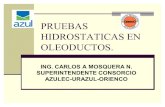 50663691 Pruebas Hidrostaticas en Oleoductos