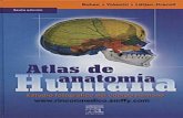 Atlas Anatomia Humana - estudio fotográfico del cuerpo humano
