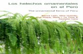 Helechos ornamentales en el Perú