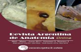 Revista de Anatomia Argentina6