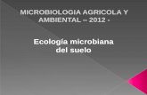 Ecología Microbiana Suelo Rizosfera