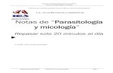 Notas de micologia