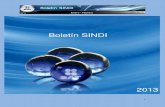 SAT: Boletin SINDI 01-2013