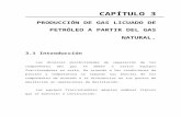 CAPÍTULO 3 - GLP