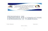 PERDIDAS DE ENERGÍAS EN CONDUCTOS CERRADOS O TUBERIAS.docx