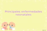 Principales Enfermedades Neonatales