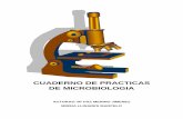 Microcultivo en Micologia