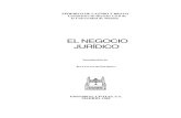El Negocio Juridico - Federico de Castro y Bravo