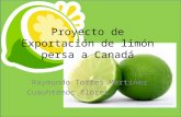 Proyecto de Exportación de limón persa a Canadá