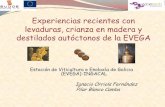 Presentacion_EVEGA LEVADURAS