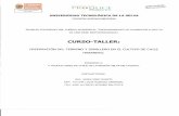 PREPARACIÓN DEL TERRENO Y SEMILLERO EN EL CULTIVO DE CHILE.pdf