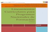 lineamientos PNF