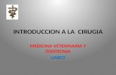 Introduccion a La Cirugia, Historia