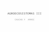 Caucho-Agroecosistemas III - Copia