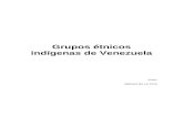 Grupos étnicos indígenas de Venezuela.doc