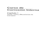 Corrosion Interna 1