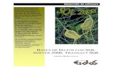 Libro de Eidos - Bases de Datos Con SQL Server 2000 Y Transactsql Spanish