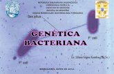 Tema 2 Genetica Bacteriana