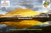 Proy. Desarrollo Capacidades Para El OT - Huancavelica