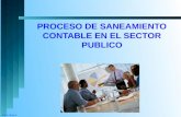Saneamiento Contable Sector Publico Alejandro More (1)