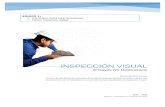 Inspeccion Visual