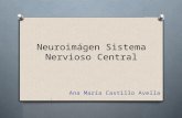 Neuroimagen Sistema Nervioso Central