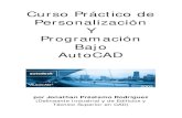 Curso de Personalizaci n y Programaci n en AutoCAD