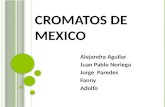 Cromatos de Mexico