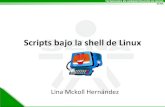 Scripts Bajo La Shell de Linux