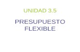 UNIDAD 3.4 Pto Flexible