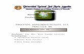 Informe 06 Procesos Agroindustriales III