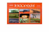 118714932 Manual de Felinos en Cautiverio