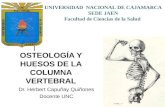 II CLASE de ANATOMIA , Osteologia,Columna Vertebral