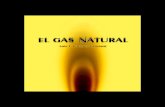 Libro El Gas Natural - Luis F. Cáceres Graziani.pdf