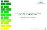 01 El Informe Social Pericial