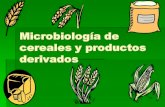 Microbiología de cereales