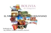 Mercados Electricos en Bolivia