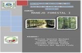 Forestal Practia 1