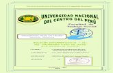 155664179 Boletin Informativo Nº 01 Del Programa Vaso de Leche Huancan