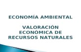 Economía ambiental y valoración clase 17enero ga-b_karina navarro