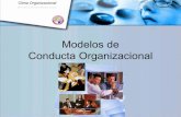 Modelos De Conducta Organizacional